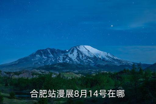 合肥站漫展8月14號在哪