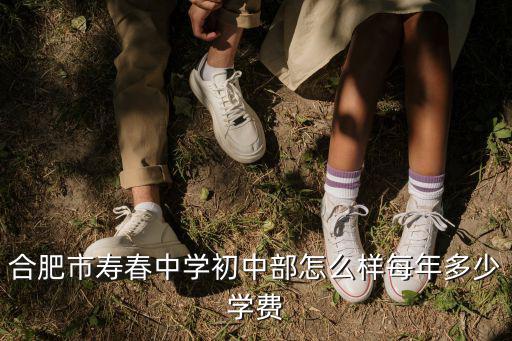 合肥市壽春中學初中部怎么樣每年多少學費