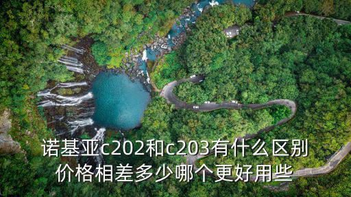 諾基亞c202和c203有什么區別價格相差多少哪個更好用些