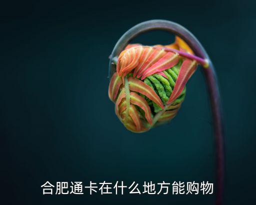 合肥通卡在什么地方能購物