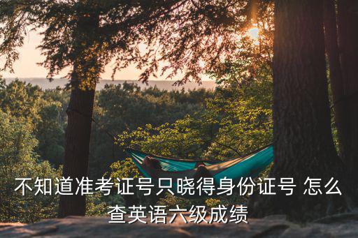 不知道準考證號只曉得身份證號 怎么查英語六級成績