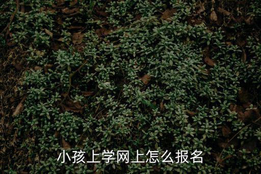 小孩上學網上怎么報名
