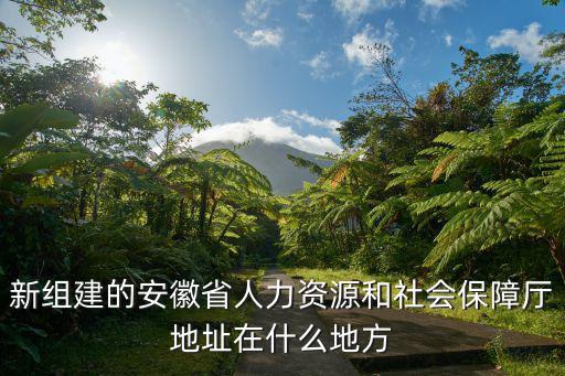 新組建的安徽省人力資源和社會保障廳地址在什么地方