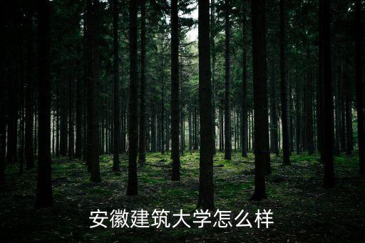 安徽建筑大學吧，安徽建筑大學貼吧