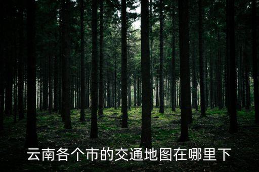 云南各個市的交通地圖在哪里下