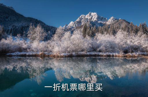 一折飛機(jī)票，學(xué)會怎么買一折飛機(jī)票機(jī)場內(nèi)部人員都是這么買的