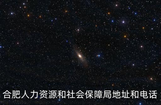 合肥人力資源和社會保障局地址和電話