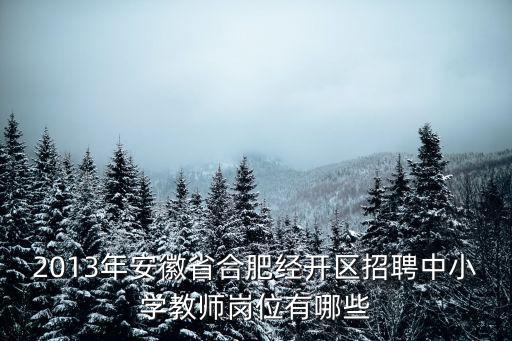 合肥中小學(xué)教師招聘，2013年安徽省合肥經(jīng)開(kāi)區(qū)招聘中小學(xué)教師崗位有哪些