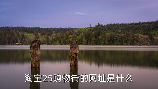 淘寶25購物街的網址是什么