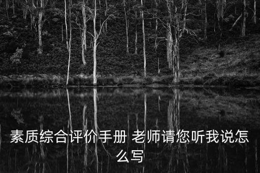 素質綜合評價手冊 老師請您聽我說怎么寫