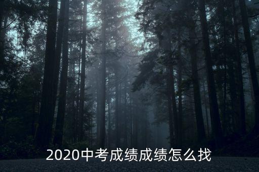 2020中考成績成績怎么找