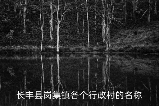 崗集鎮(zhèn)，從合肥明珠廣場到長豐崗集鎮(zhèn)坐幾路公交車