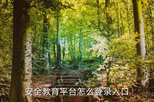 安全教育平臺登錄入口，成都市安全教育平臺網怎么進入