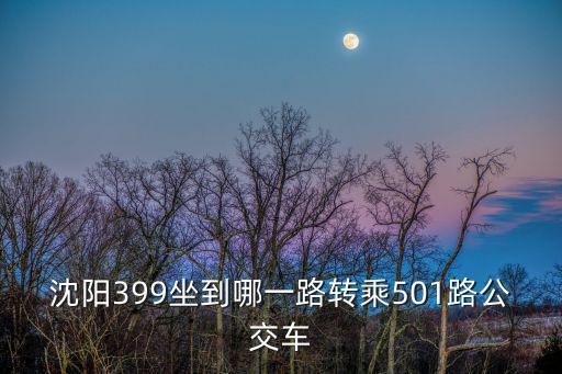 沈陽399坐到哪一路轉乘501路公交車
