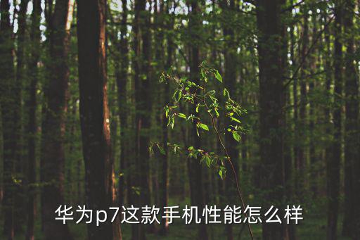 華為p7這款手機(jī)性能怎么樣