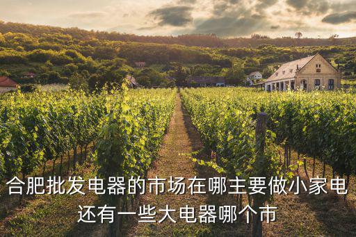 合肥電器城，合肥有幾個五金電器市場