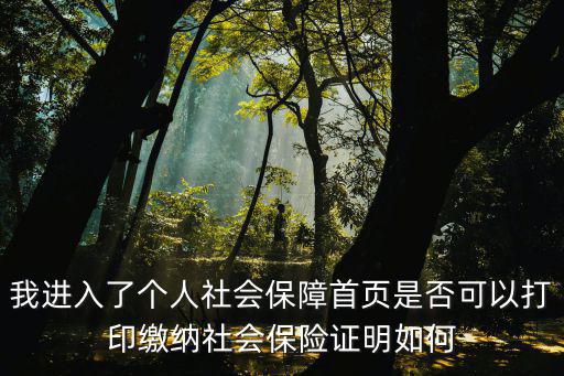 我進(jìn)入了個(gè)人社會(huì)保障首頁是否可以打印繳納社會(huì)保險(xiǎn)證明如何