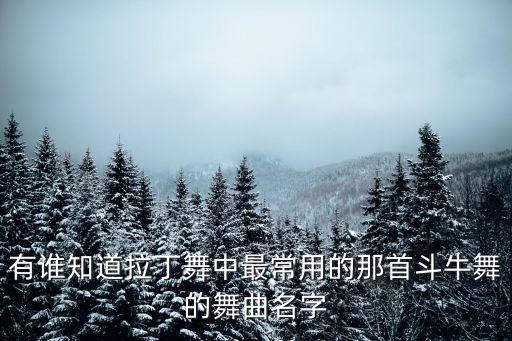 有誰(shuí)知道拉丁舞中最常用的那首斗牛舞的舞曲名字