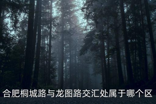 合肥桐城路與龍圖路交匯處屬于哪個區(qū)