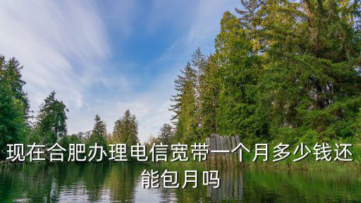 現在合肥辦理電信寬帶一個月多少錢還能包月嗎