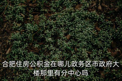 合肥住房公積金在哪兒政務(wù)區(qū)市政府大樓那里有分中心嗎