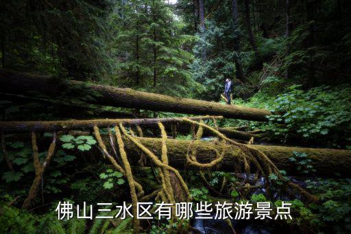 佛山三水區有哪些旅游景點