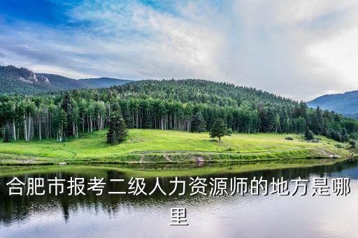 合肥市考試網，合肥市會計從業繼續教育是否可以在網上完成