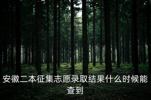安徽二本征集志愿錄取結果什么時候能查到