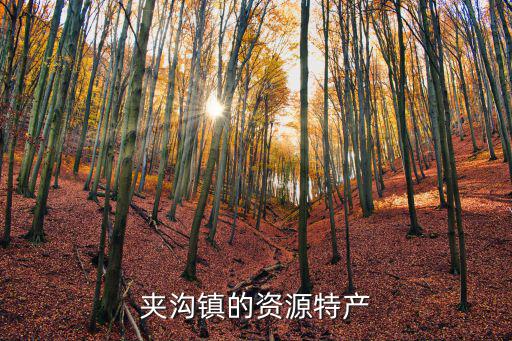 夾溝鎮(zhèn)，夾溝鎮(zhèn)的基本概況