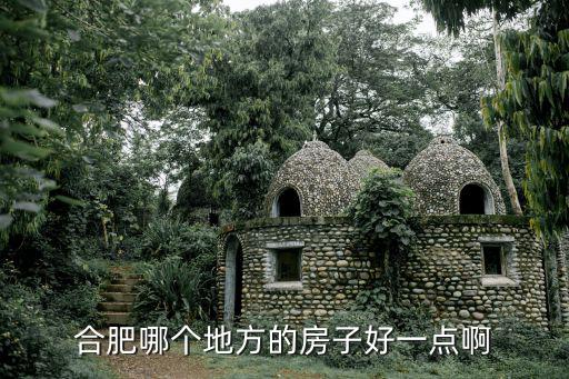 合肥哪個地方的房子好一點啊