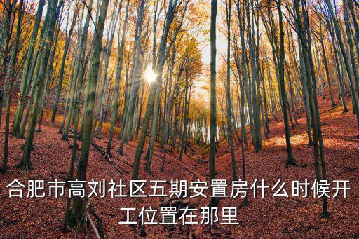 合肥市高劉社區(qū)五期安置房什么時(shí)候開工位置在那里