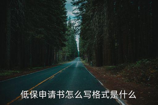 低保申請(qǐng)書怎么寫格式是什么
