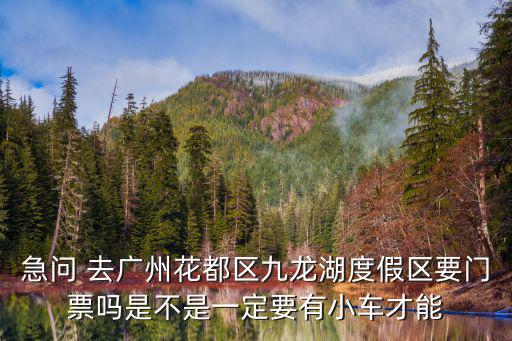 急問(wèn) 去廣州花都區(qū)九龍湖度假區(qū)要門(mén)票嗎是不是一定要有小車才能