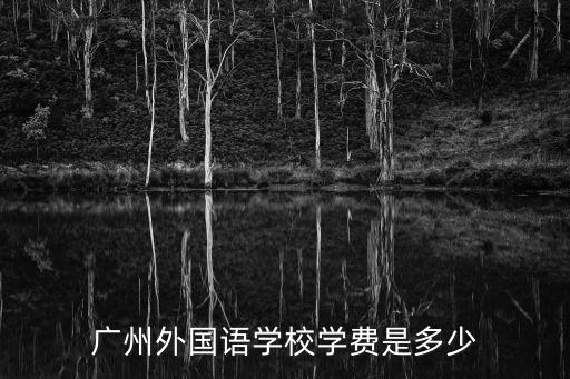 廣州外國語學(xué)校學(xué)費是多少