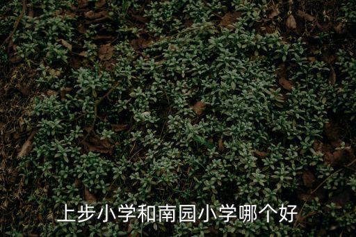 上步小學(xué)和南園小學(xué)哪個(gè)好