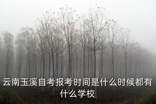 云南玉溪自考報(bào)考時(shí)間是什么時(shí)候都有什么學(xué)校