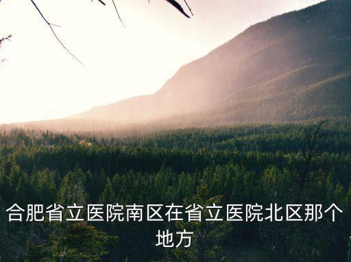 合肥省立醫(yī)院南區(qū)在省立醫(yī)院北區(qū)那個(gè)地方
