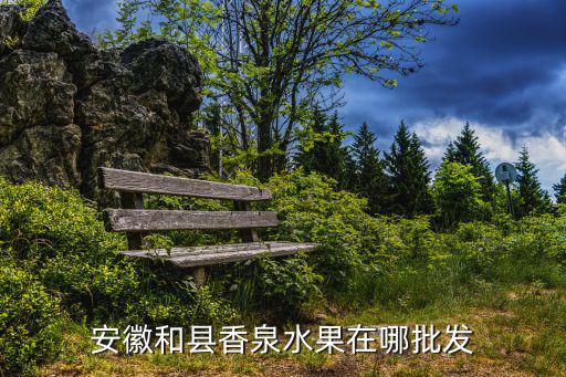 和縣香泉，和縣香泉和半湯哪個好