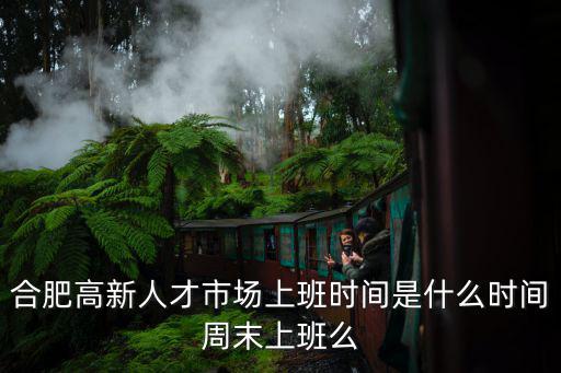 合肥高新區人才網，合肥高新人才市場上班時間是什么時間周末上班么