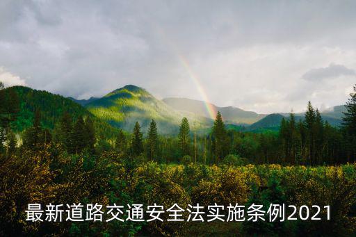 最新道路交通安全法實施條例2021