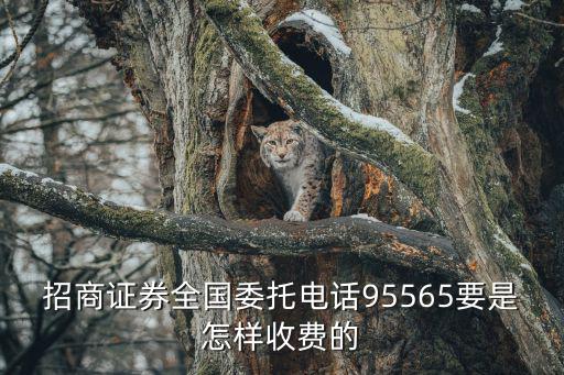 招商證券全國委托電話95565要是怎樣收費(fèi)的
