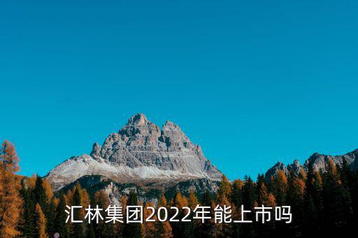 匯林集團(tuán)2022年能上市嗎