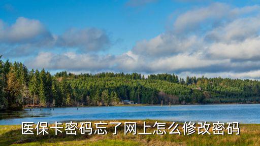 醫保卡密碼忘了網上怎么修改密碼