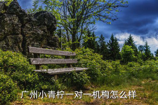 廣州一對(duì)一，我是學(xué)生想了解一下廣州哪家一對(duì)一機(jī)構(gòu)最好還有哪些補(bǔ)習(xí)課程