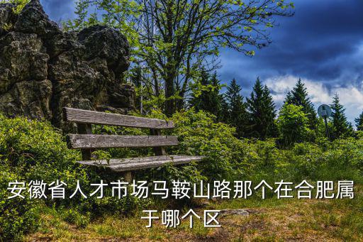 安徽省人才市場馬鞍山路那個在合肥屬于哪個區(qū)