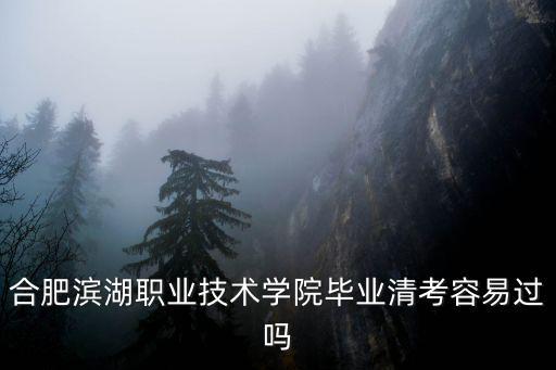 合肥濱湖職業(yè)技術(shù)學(xué)院畢業(yè)清考容易過嗎