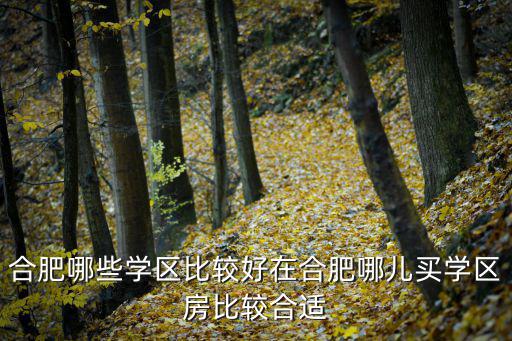 合肥哪些學區比較好在合肥哪兒買學區房比較合適