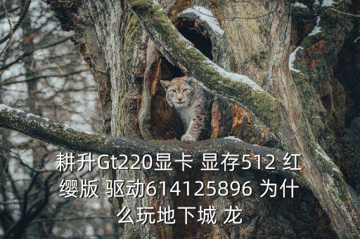 耕升Gt220顯卡 顯存512 紅纓版 驅動614125896 為什么玩地下城 龍