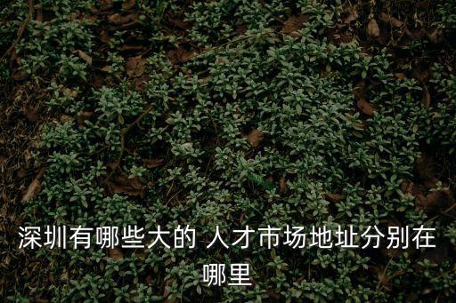 深圳有哪些大的 人才市場地址分別在哪里