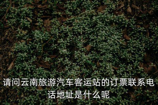 請(qǐng)問云南旅游汽車客運(yùn)站的訂票聯(lián)系電話地址是什么呢
